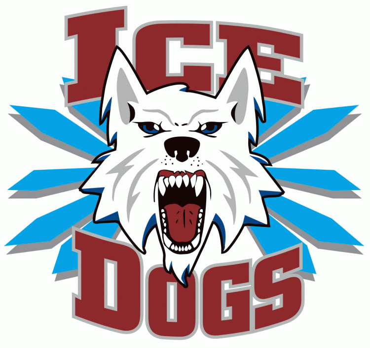 fairbanks ice dogs 2003 04-pres primary logo iron on transfers for T-shirts